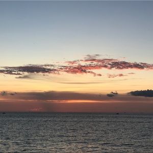 Meet your Posher, Lucy